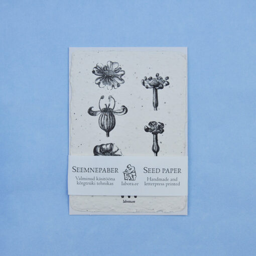 Aethusa cynapium postcard seedcard