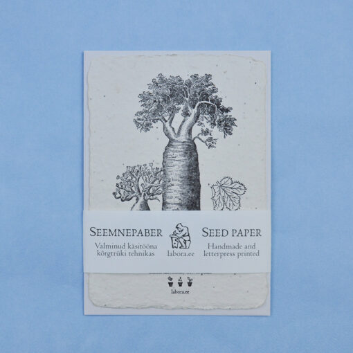 Baobab postcard seedcard