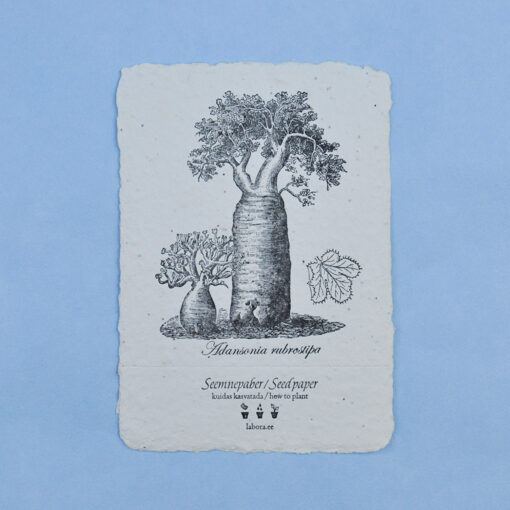 Baobab postcard seedcard