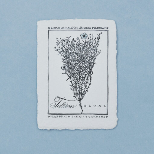 Flax From the City Garden Postcard