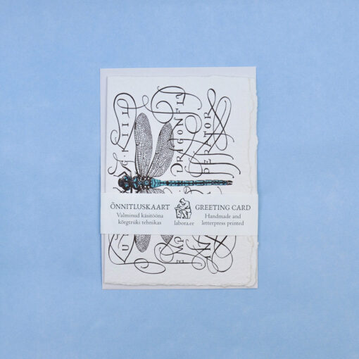 Dragonfly Postcard Greeting card