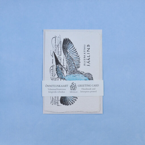 Kingfisher Postcard Greeting Card