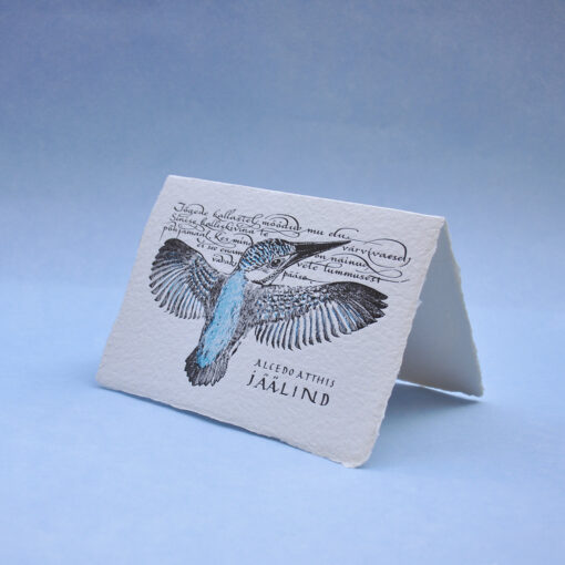 Kingfisher Postcard Greeting Card