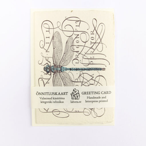 Emperor Dragonfly - Image 2