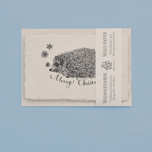 Christmas Hedgehog - Image 4