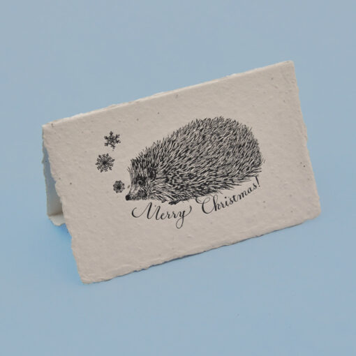 Christmas Hedgehog