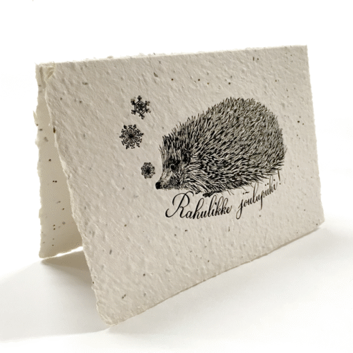 Christmas Hedgehog (Estonian version)