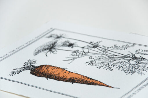Vegetables from the City Wall Gardens (Set of 3 Art Prints) - Image 7