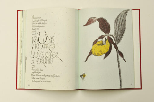 Poetics of Endangered Species: Estonia - Image 11