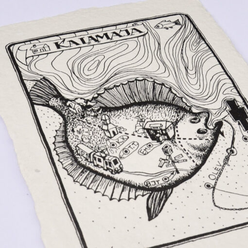 Kalamaja Flatfish - Image 2