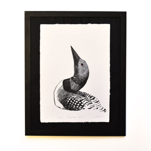 Black-Throated Loon - Art Print (A3)