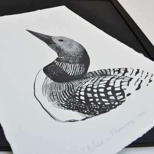 Black-Throated Loon - Art Print (A3) - Image 2