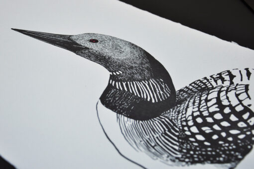 Black-Throated Loon - Art Print (A3) - Image 3