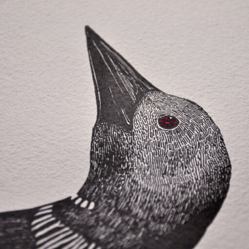 Black-Throated Loon - Art Print (A3) - Image 4