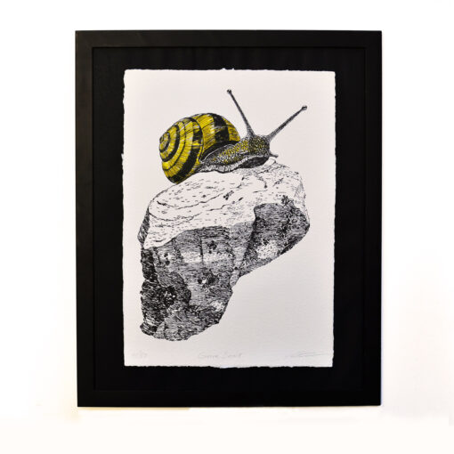 Grove Snail - Art Print (A3)
