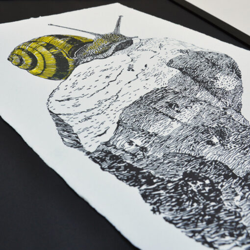 Grove Snail - Art Print (A3) - Image 3