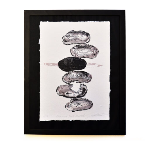 Freshwater Pearl Mussel - Art Print (A3)
