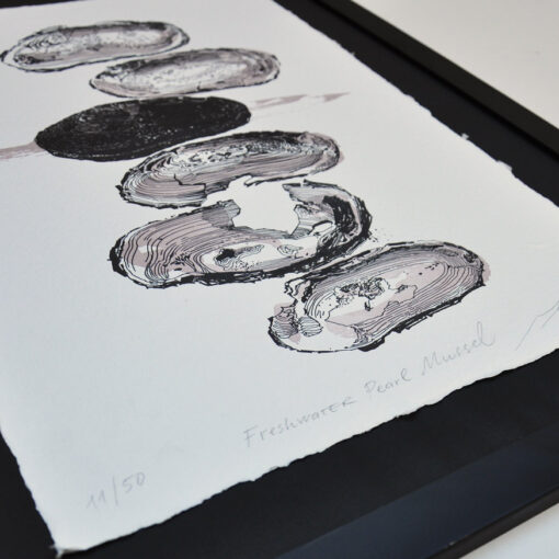 Freshwater Pearl Mussel - Art Print (A3) - Image 3