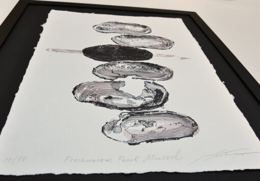 Freshwater Pearl Mussel - Art Print (A3) - Image 4
