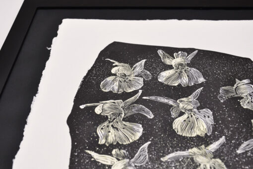 Elder-Flowered Orchid - Art Print (A3) - Image 2
