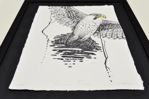 Peregrine Falcon - Art Print (A3) - Image 4