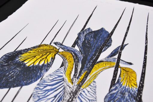 Siberian Iris - Art Print (A3) - Image 2