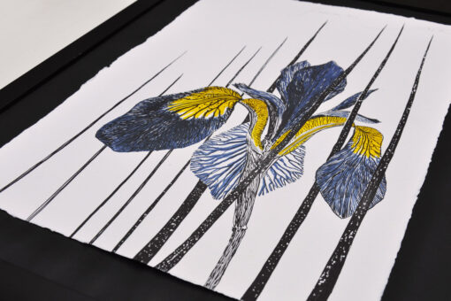 Siberian Iris - Art Print (A3) - Image 3