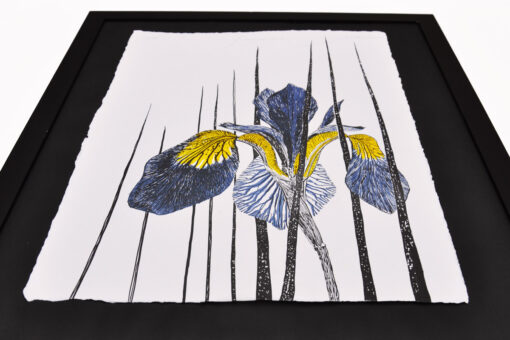 Siberian Iris - Art Print (A3) - Image 4