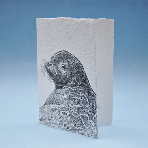 Ringed Seal