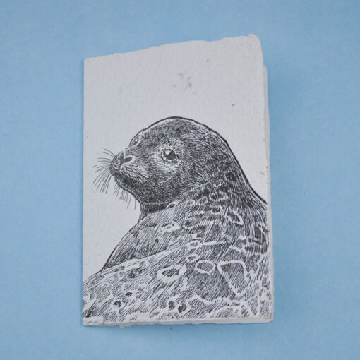 Ringed Seal - Image 3