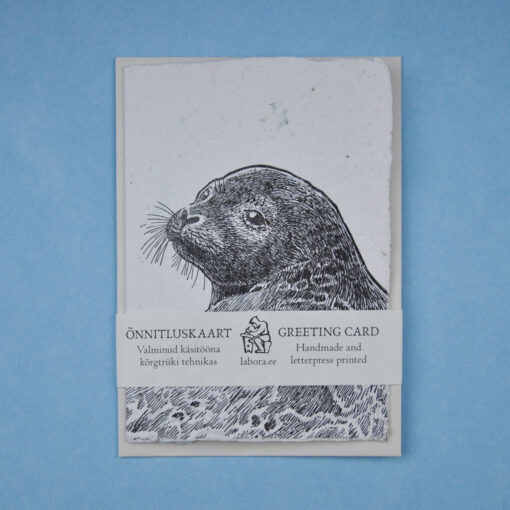 Ringed Seal - Image 4