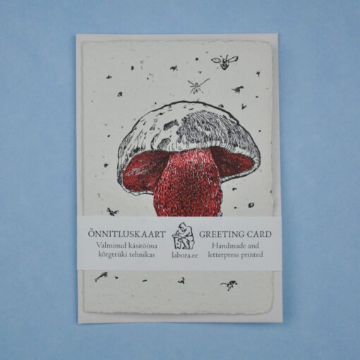 Satan's Boletus - Image 3