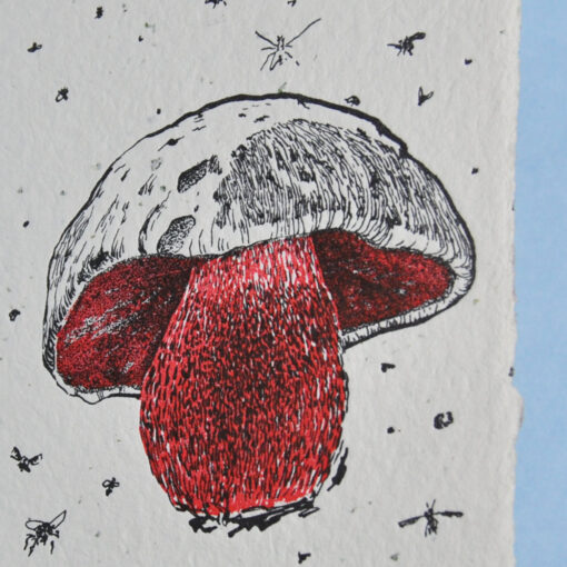 Satan's Boletus - Image 2