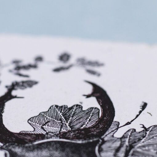 Stag Beetle - Image 2