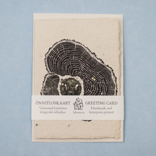 Flying Squirrel - Image 3