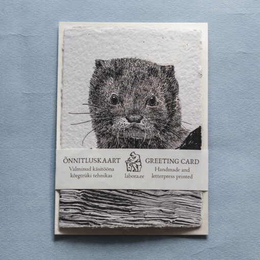 European Mink - Image 4