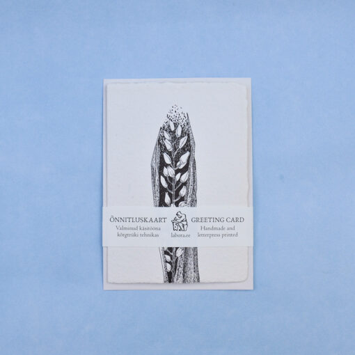 Narrow-Leaved Helleborine Postcard Greeting card