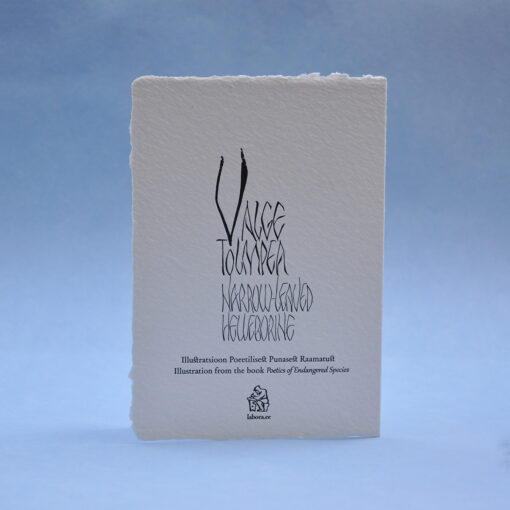 Narrow-Leaved Helleborine Postcard Greeting card
