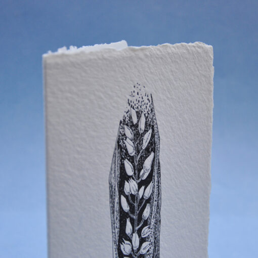Narrow-Leaved Helleborine Postcard Greeting card