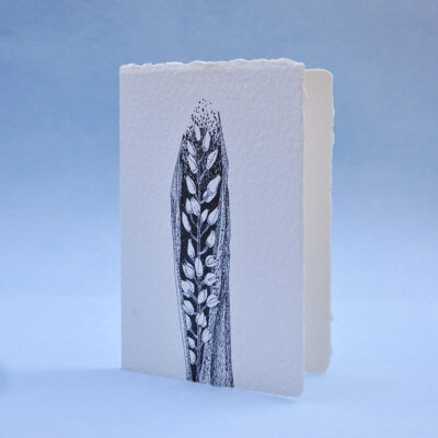 Narrow-Leaved Helleborine Postcard Greeting card