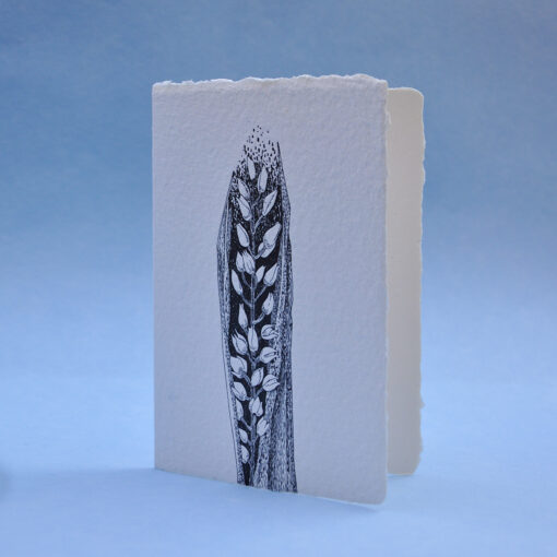 Narrow-Leaved Helleborine Postcard Greeting card