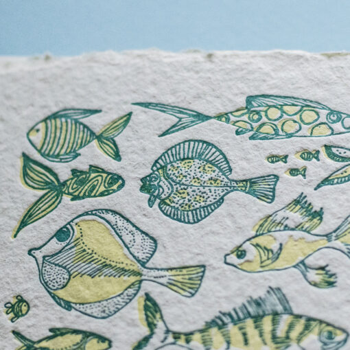 Fish - Image 3