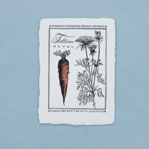 Carrot from the City Gardens
