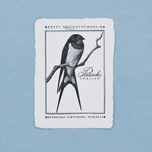 Swallow Postcard