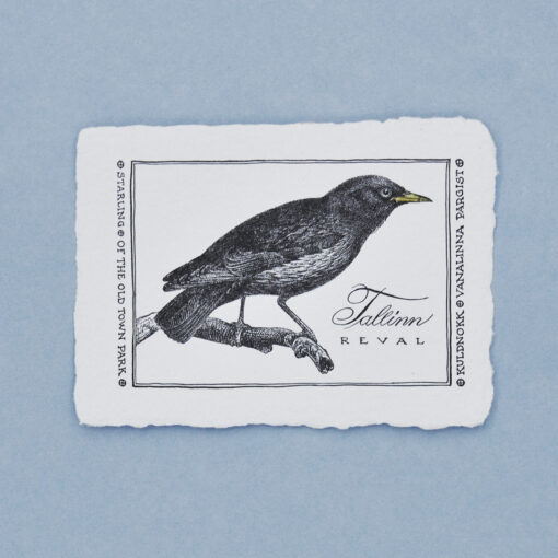 Starling Postcard