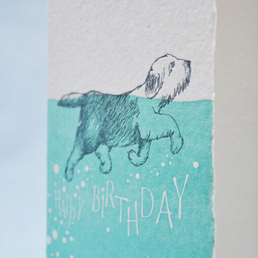 Dog - Image 2