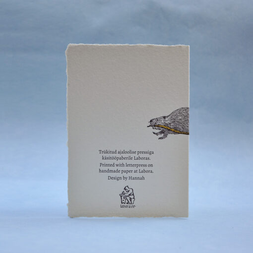 Beaver - Image 3