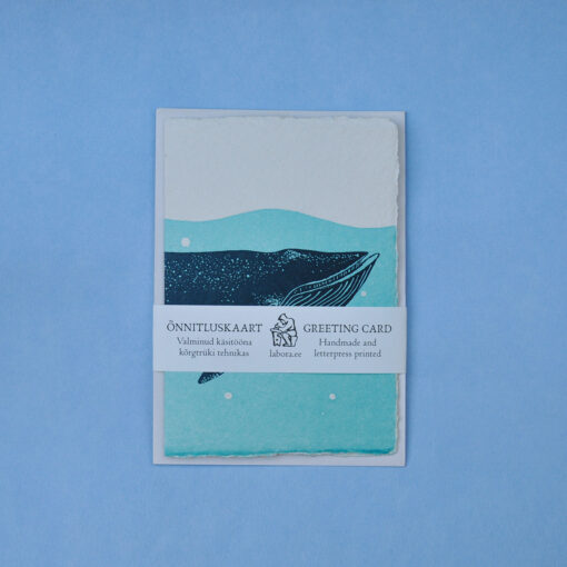 Blue Whale - Image 4