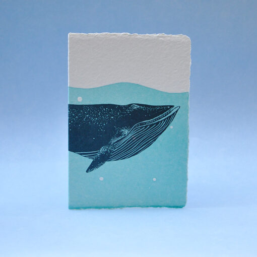 Blue Whale
