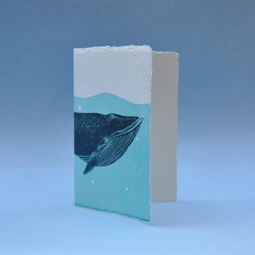Blue Whale - Image 2